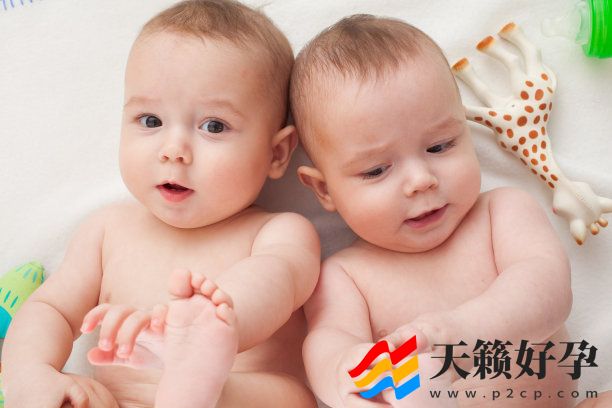 二代辅助生殖技术科普，成功率、适应人群、费用(图1)