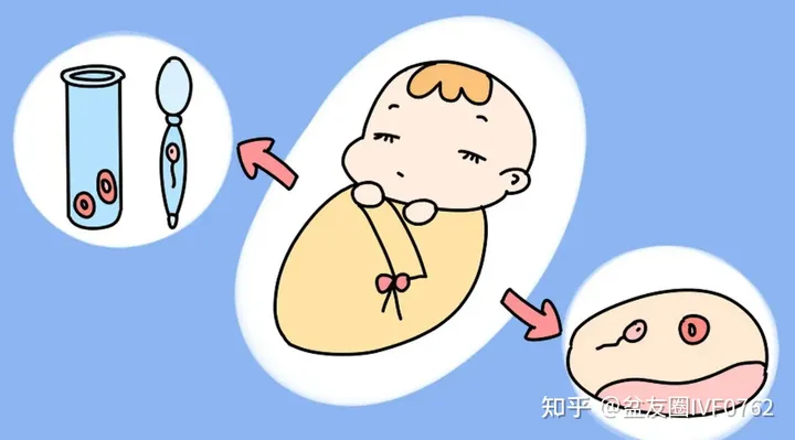 拉拉试管婴儿跟t和p的关系(图3) 拉拉试管婴儿跟t和p的关系(图3)