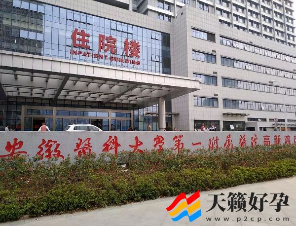 安徽省立医院做试管婴儿的价格要多少(图1)