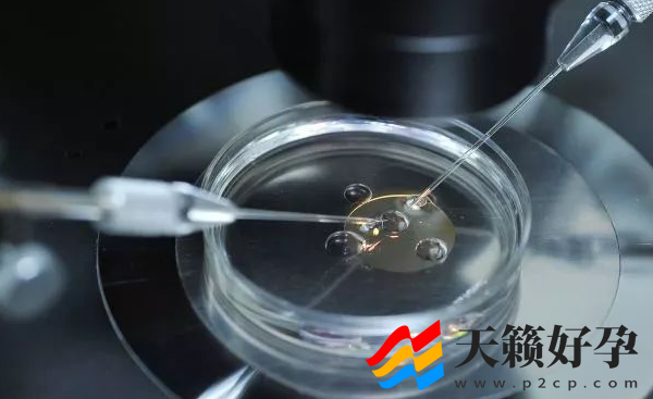 邵逸夫医院做二代试管婴儿的费用要多少(图3)