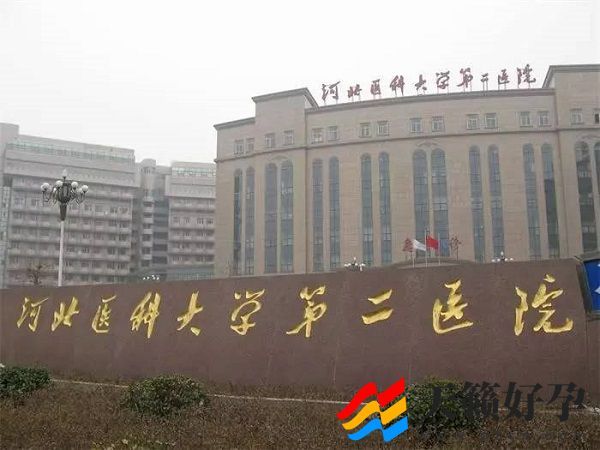石家庄试管婴儿成功率高的医院有哪些(图2)