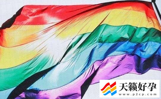 同性恋可以不被祝福，但理应得到尊重