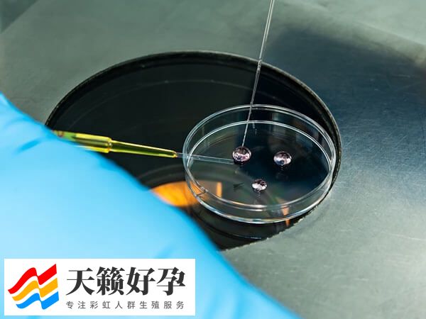试管婴儿是怎么造出来？看详细操作过程便了然于胸！(图1)