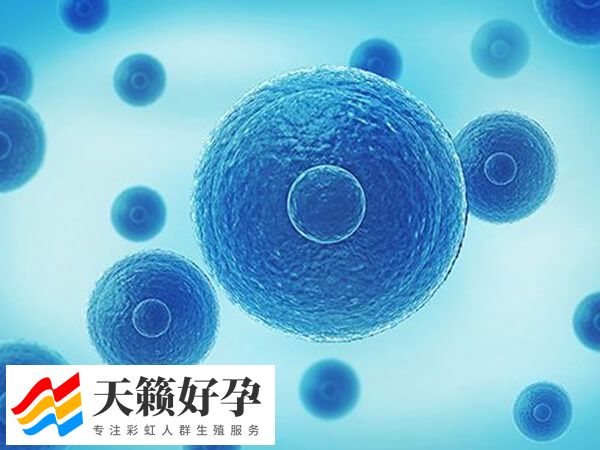 高龄试管婴儿知识点普及：包括现状、孕妈会面临的风险等！(图2)