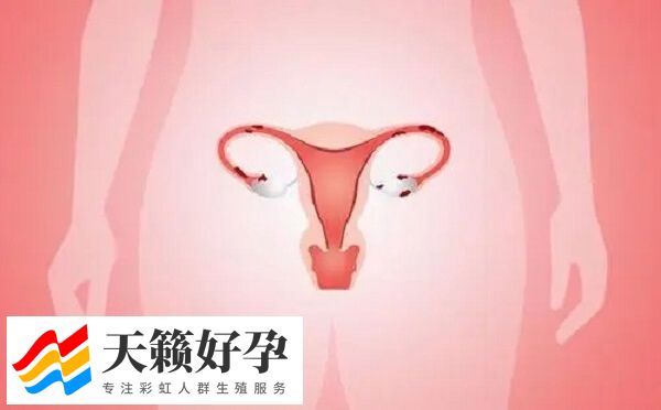 38岁fsh27能不能做试管婴儿(图2)