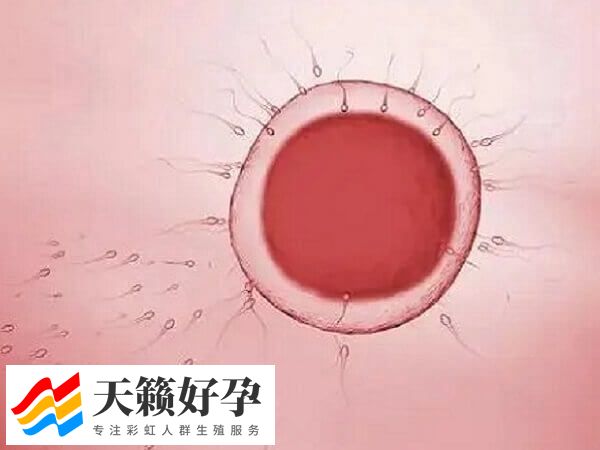 高龄女性能不能做三代试管(图1)