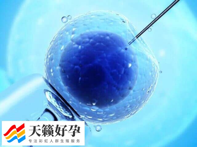 试管取卵前后的注意事项有哪些(图1)