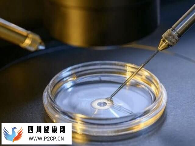 精子顶体酶异常会不会影响生育(图2)
